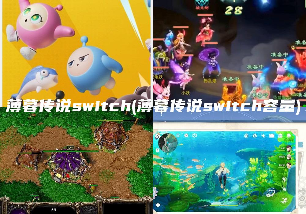 薄暮传说switch(薄暮传说switch容量)