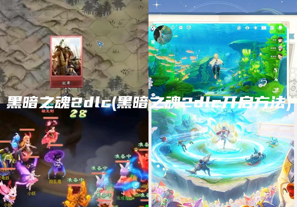 黑暗之魂2dlc(黑暗之魂2dlc开启方法)
