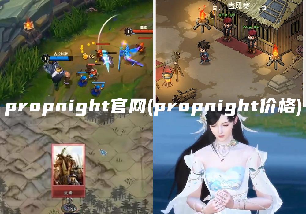 propnight官网(propnight价格)