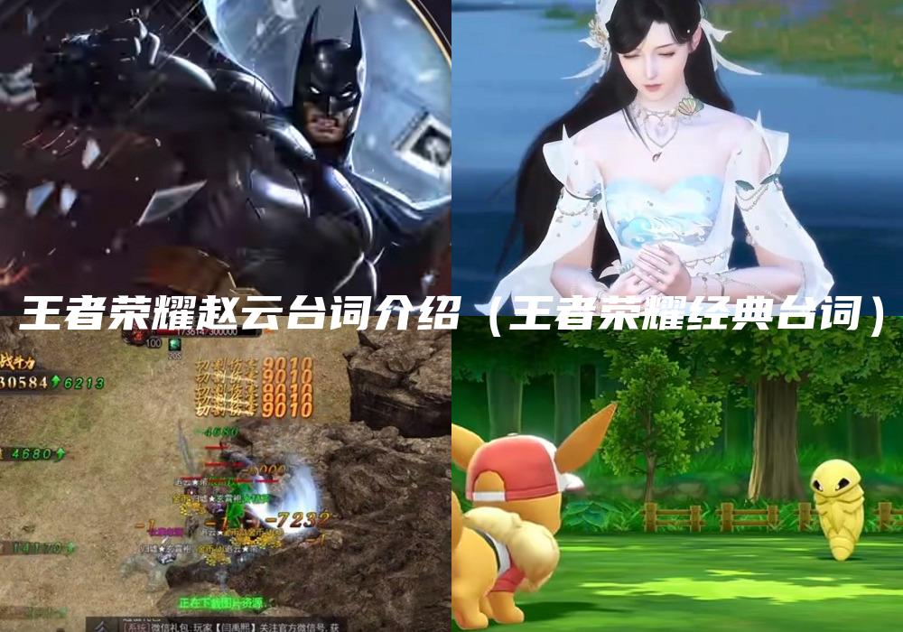 王者荣耀赵云台词介绍（王者荣耀经典台词）