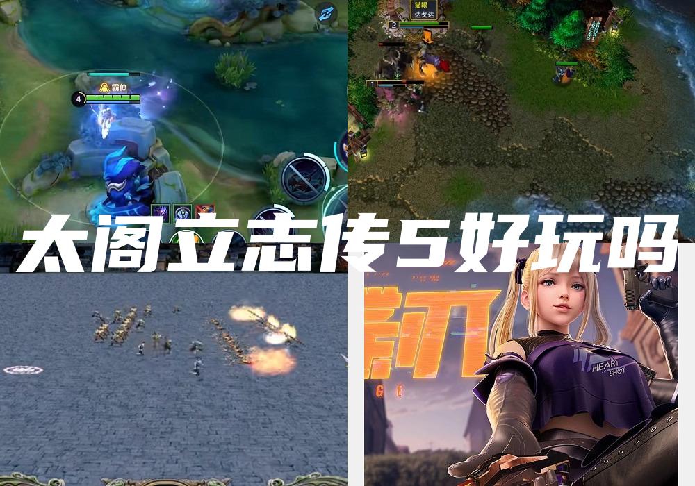 太阁立志传5好玩吗
