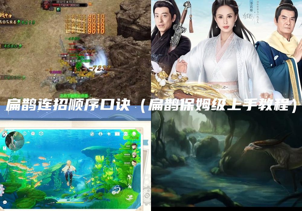 扁鹊连招顺序口诀（扁鹊保姆级上手教程）