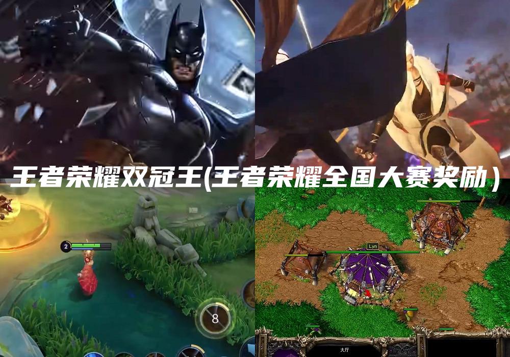 王者荣耀双冠王(王者荣耀全国大赛奖励）