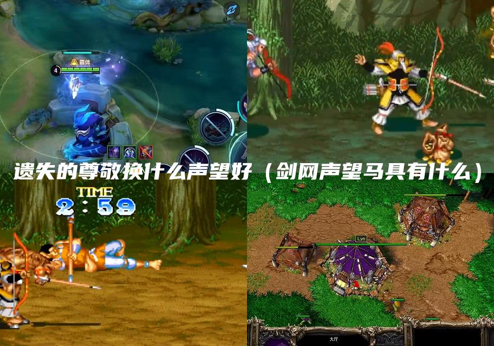 遗失的尊敬换什么声望好（剑网声望马具有什么）