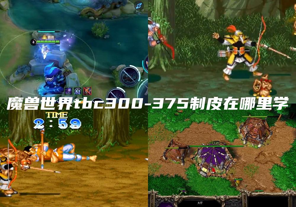 魔兽世界tbc300-375制皮在哪里学