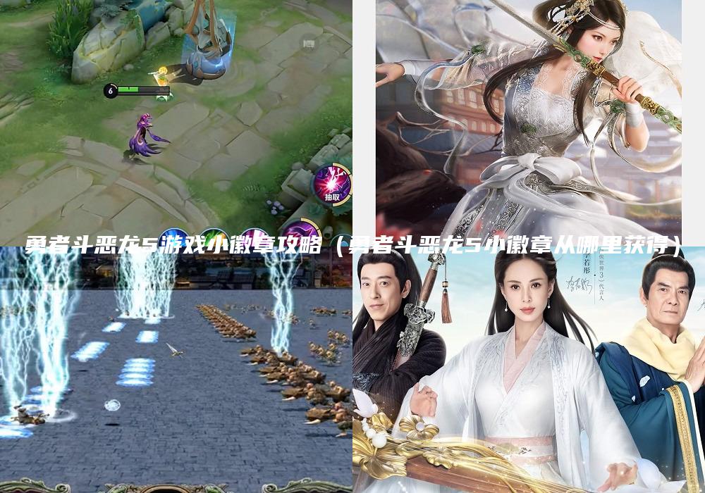 勇者斗恶龙5游戏小徽章攻略（勇者斗恶龙5小徽章从哪里获得）