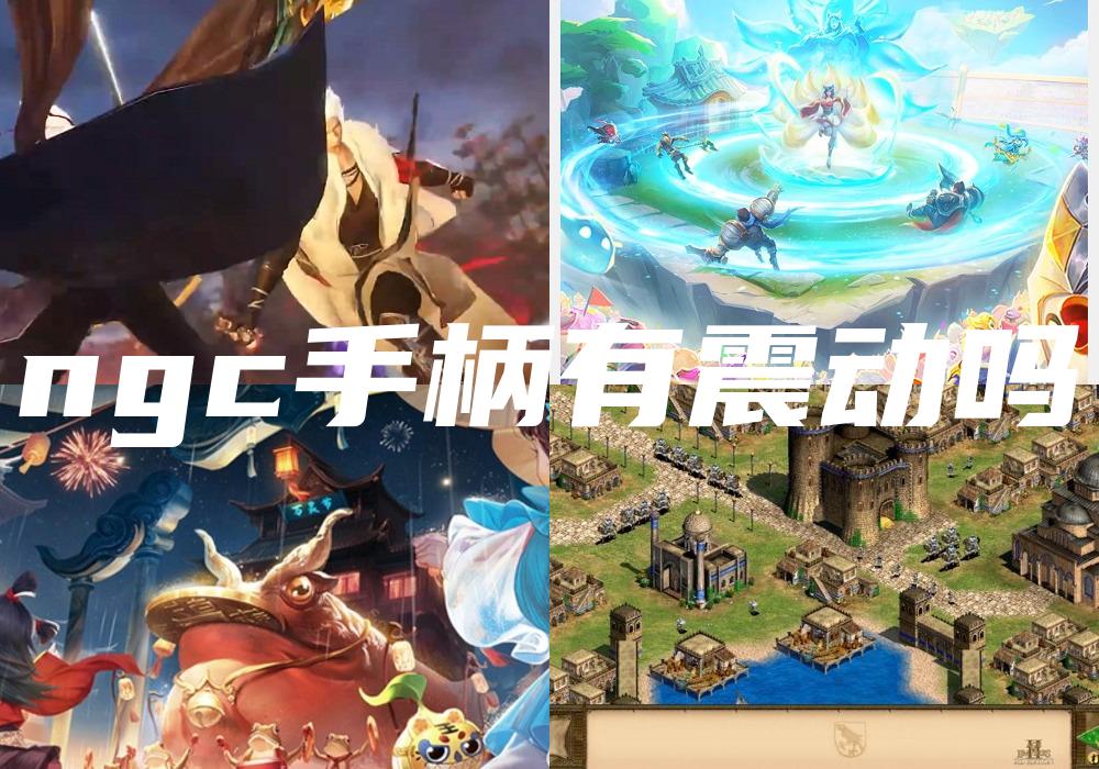 ngc手柄有震动吗
