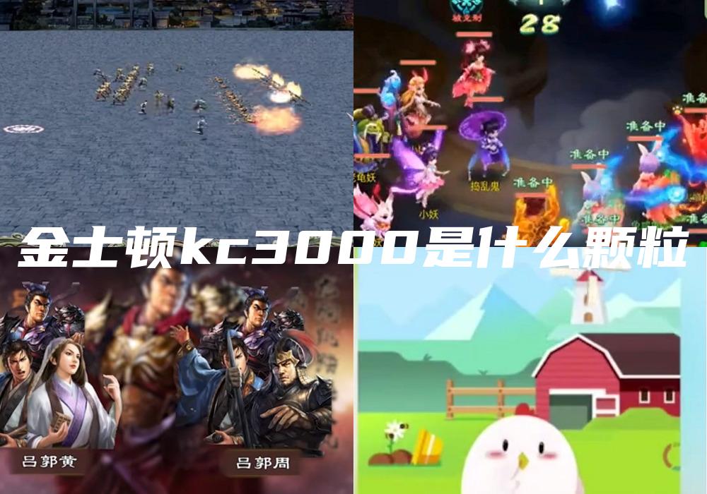 金士顿kc3000是什么颗粒