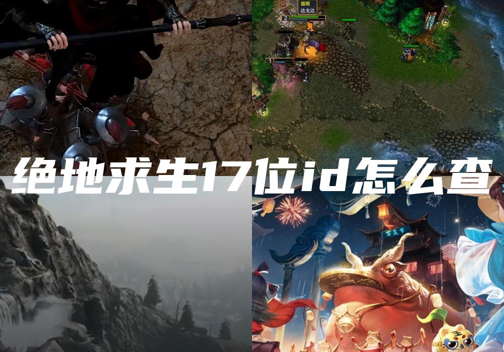 绝地求生17位id怎么查