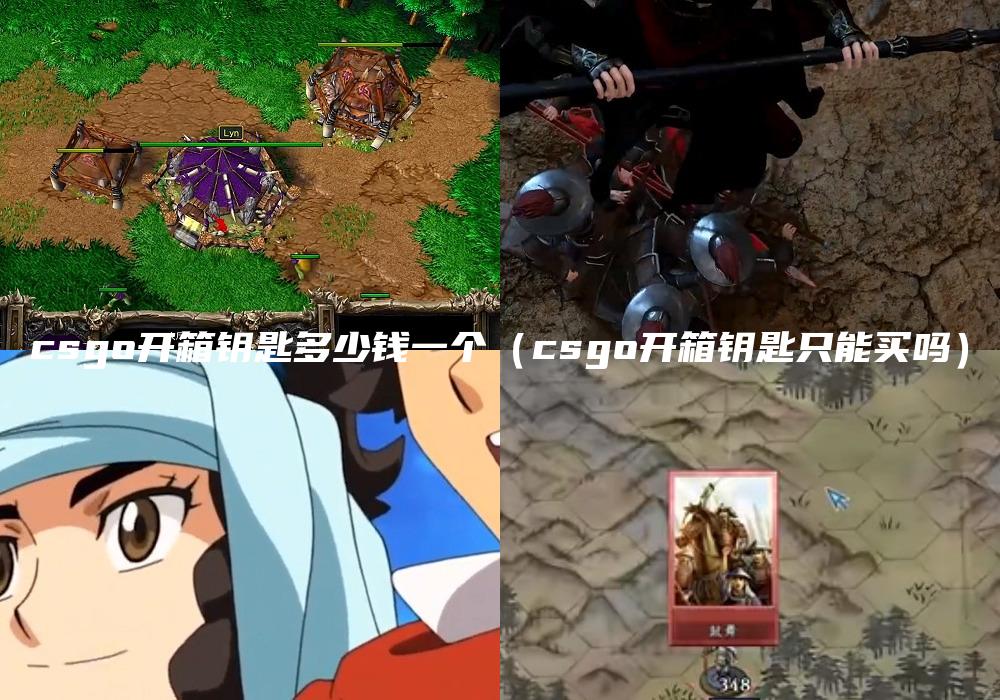 csgo开箱钥匙多少钱一个（csgo开箱钥匙只能买吗）
