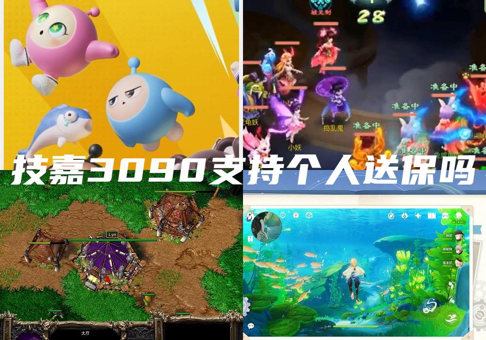 技嘉3090支持个人送保吗
