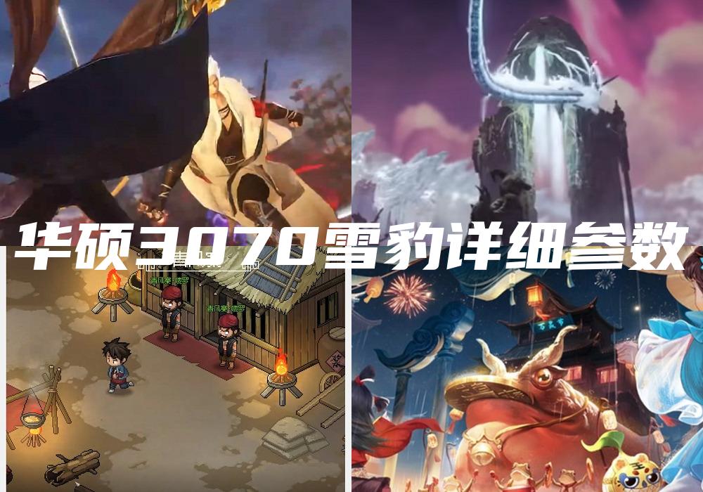 华硕3070雪豹详细参数