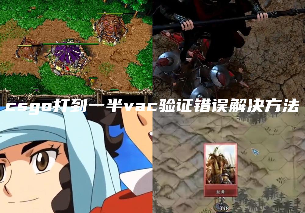 csgo打到一半vac验证错误解决方法
