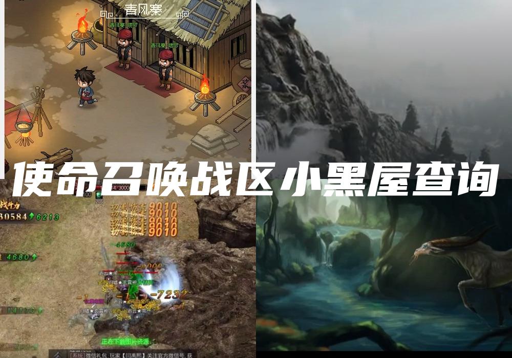 使命召唤战区小黑屋查询