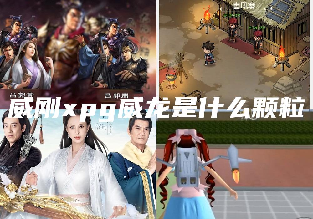 威刚xpg威龙是什么颗粒