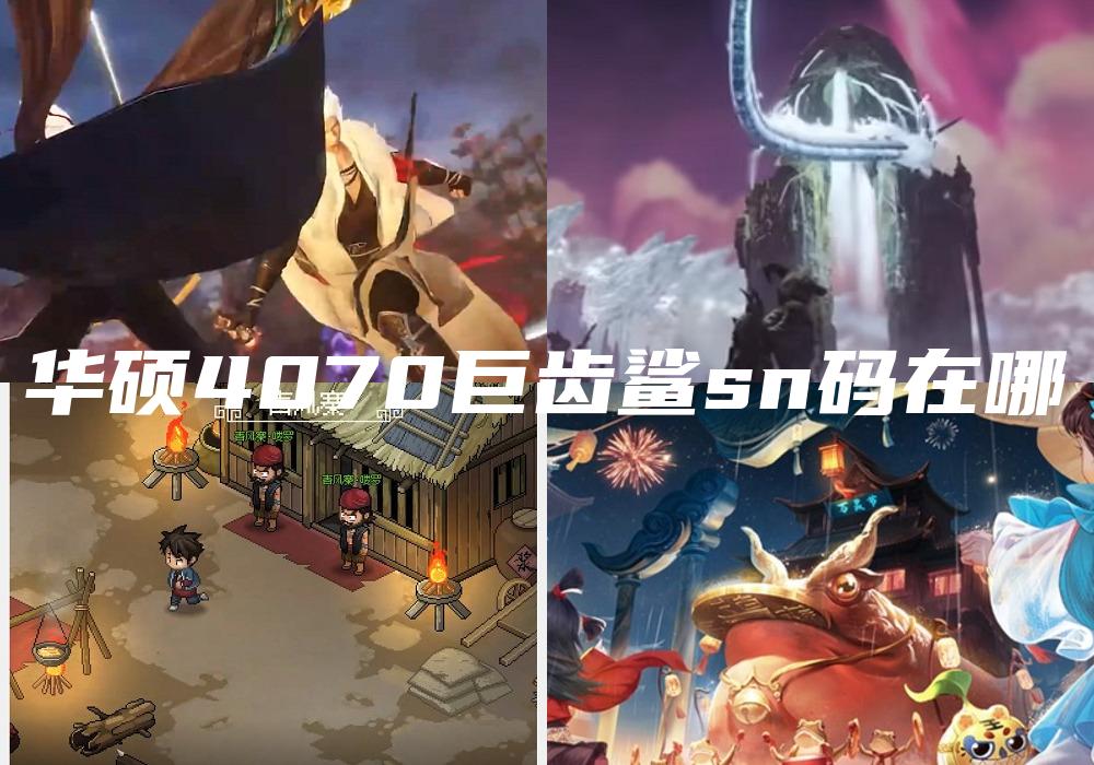 华硕4070巨齿鲨sn码在哪