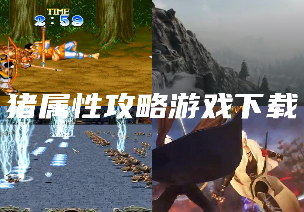 猪属性攻略游戏下载