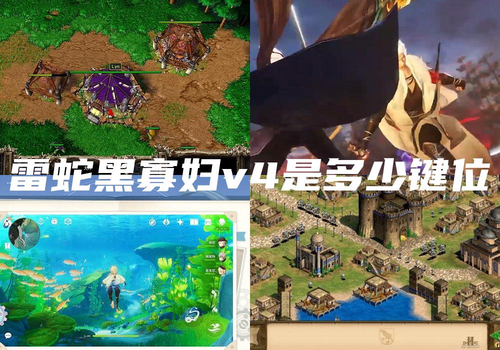雷蛇黑寡妇v4是多少键位