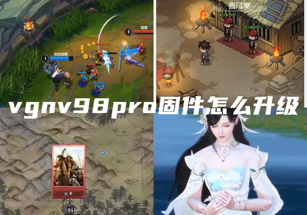 vgnv98pro固件怎么升级
