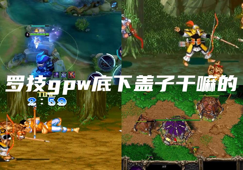 罗技gpw底下盖子干嘛的