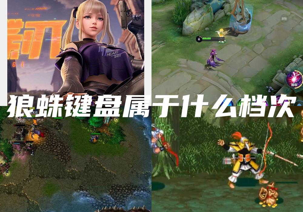 狼蛛键盘属于什么档次