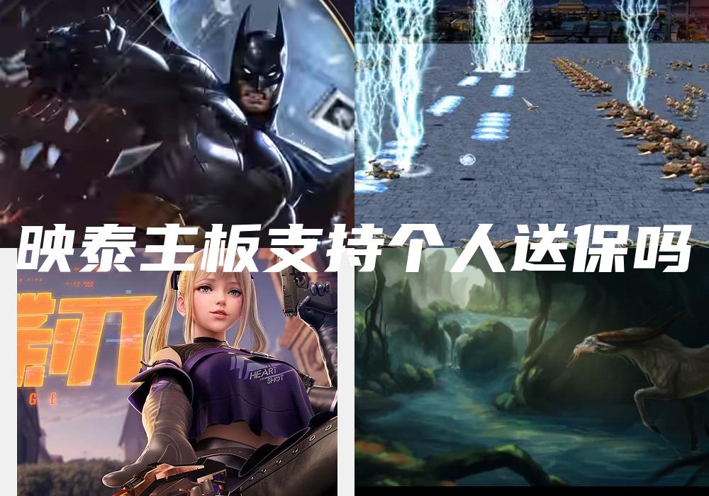 映泰主板支持个人送保吗
