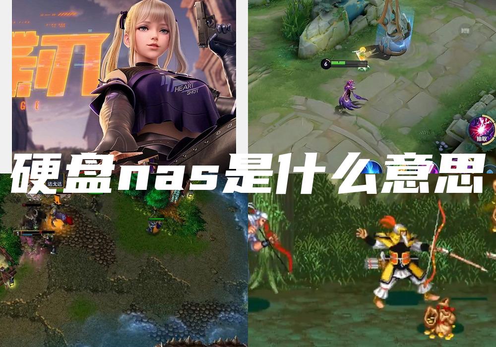 硬盘nas是什么意思