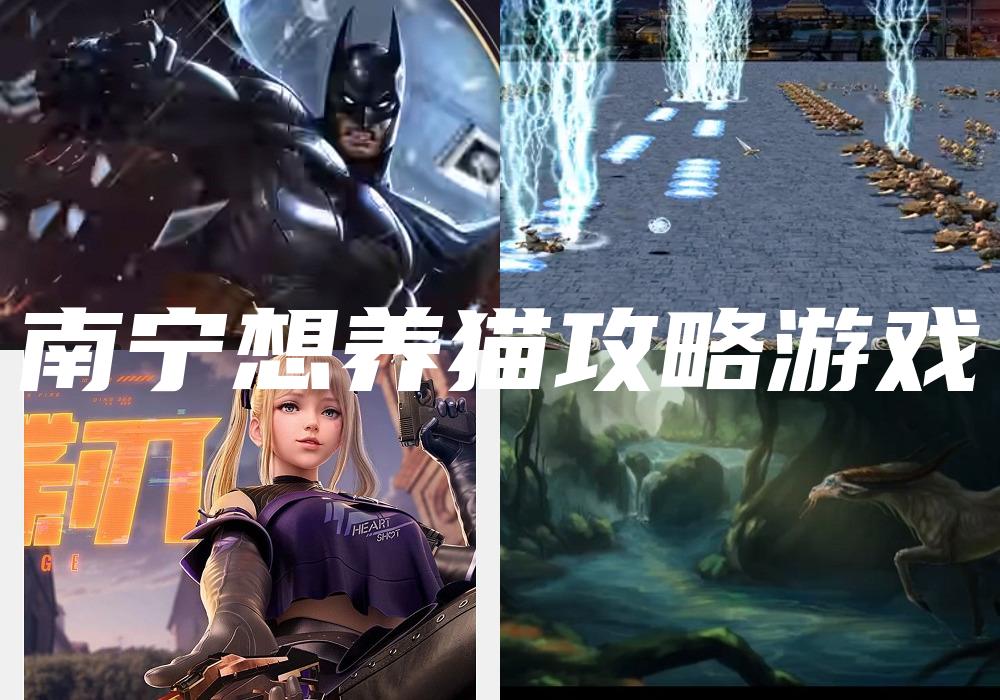 南宁想养猫攻略游戏