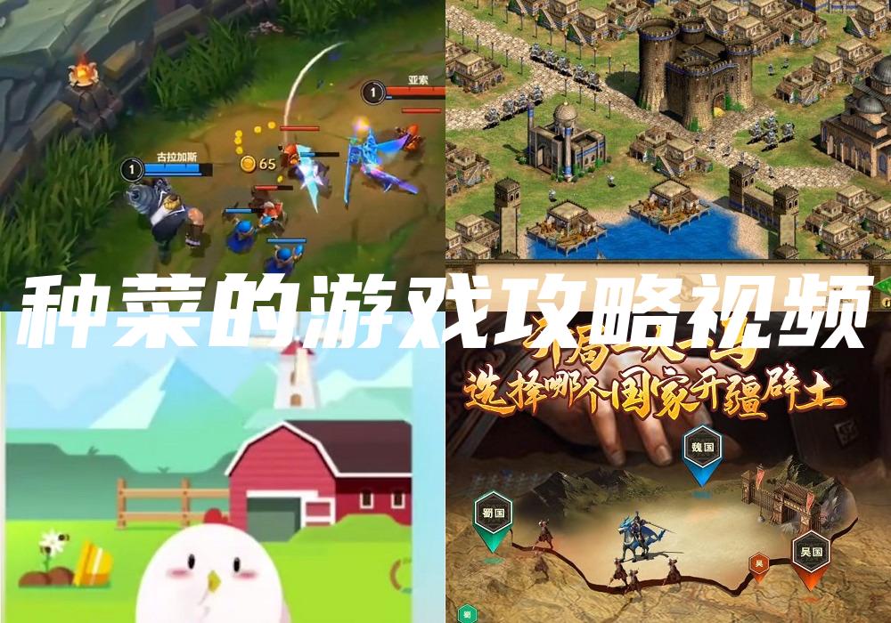 种菜的游戏攻略视频