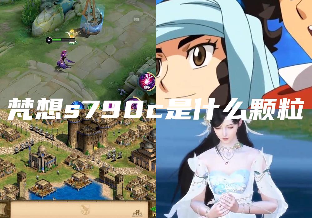 梵想s790c是什么颗粒