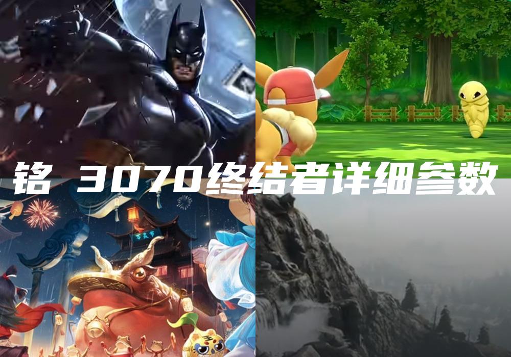 铭瑄3070终结者详细参数