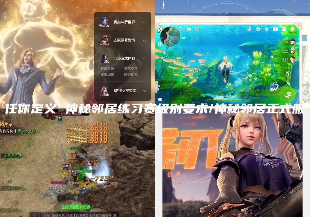 任你定义 神秘邻居练习赛级别要求/神秘邻居正式服