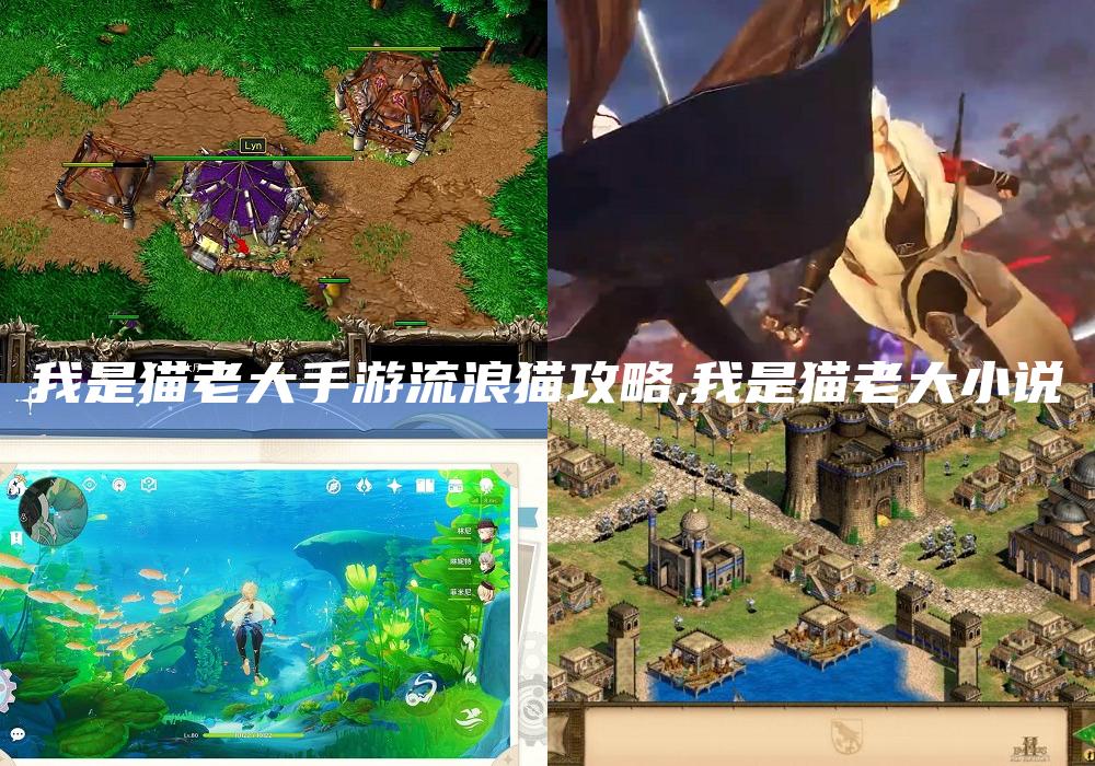 我是猫老大手游流浪猫攻略,我是猫老大小说