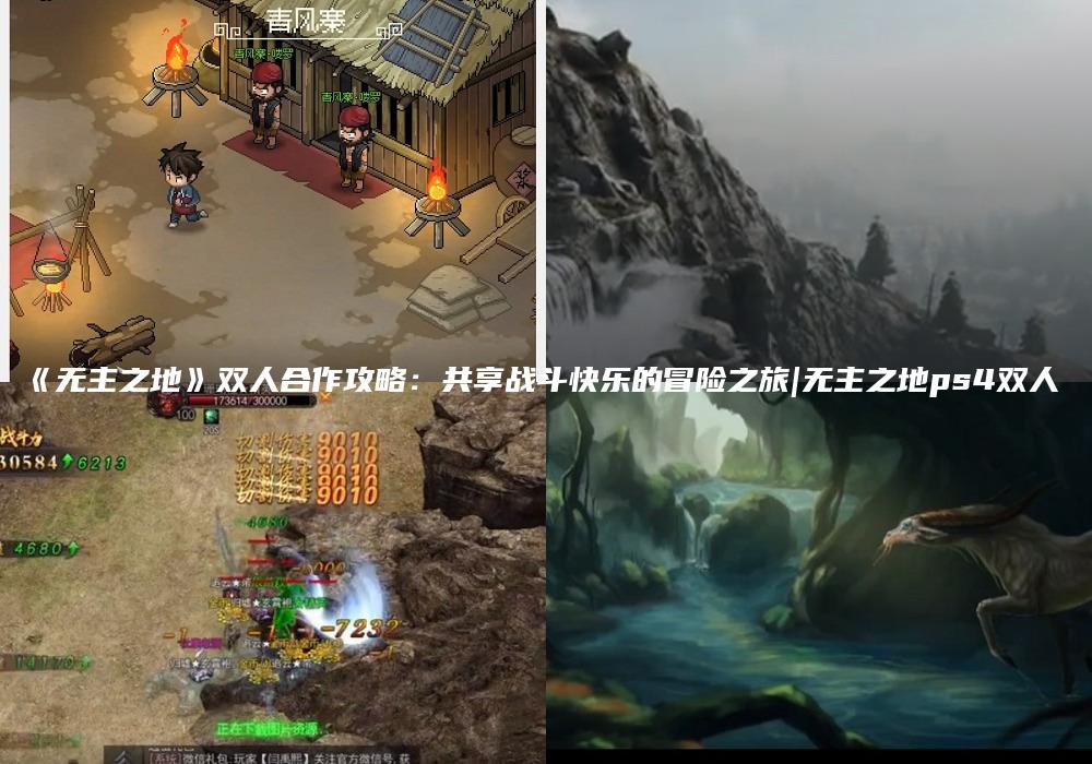 《无主之地》双人合作攻略：共享战斗快乐的冒险之旅|无主之地ps4双人