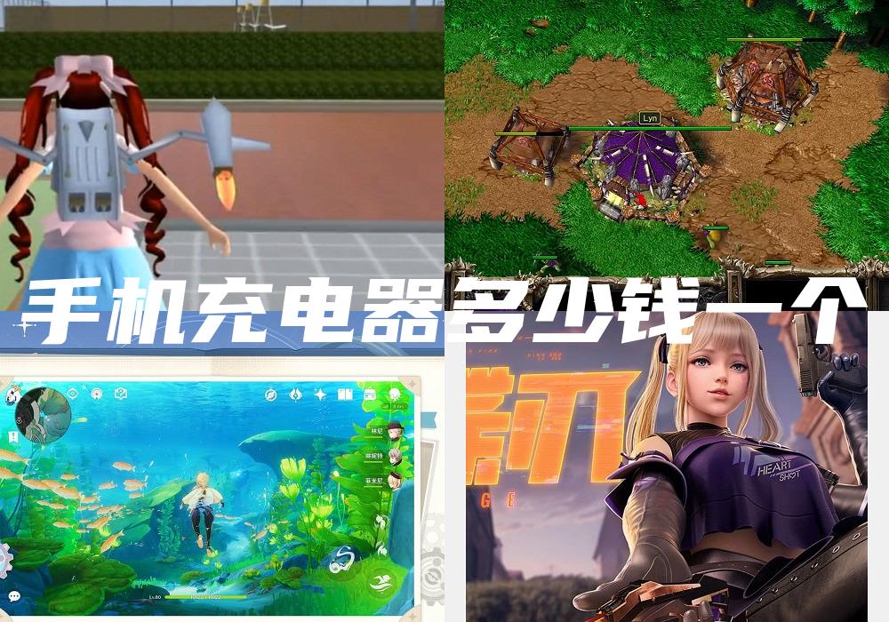 手机充电器多少钱一个