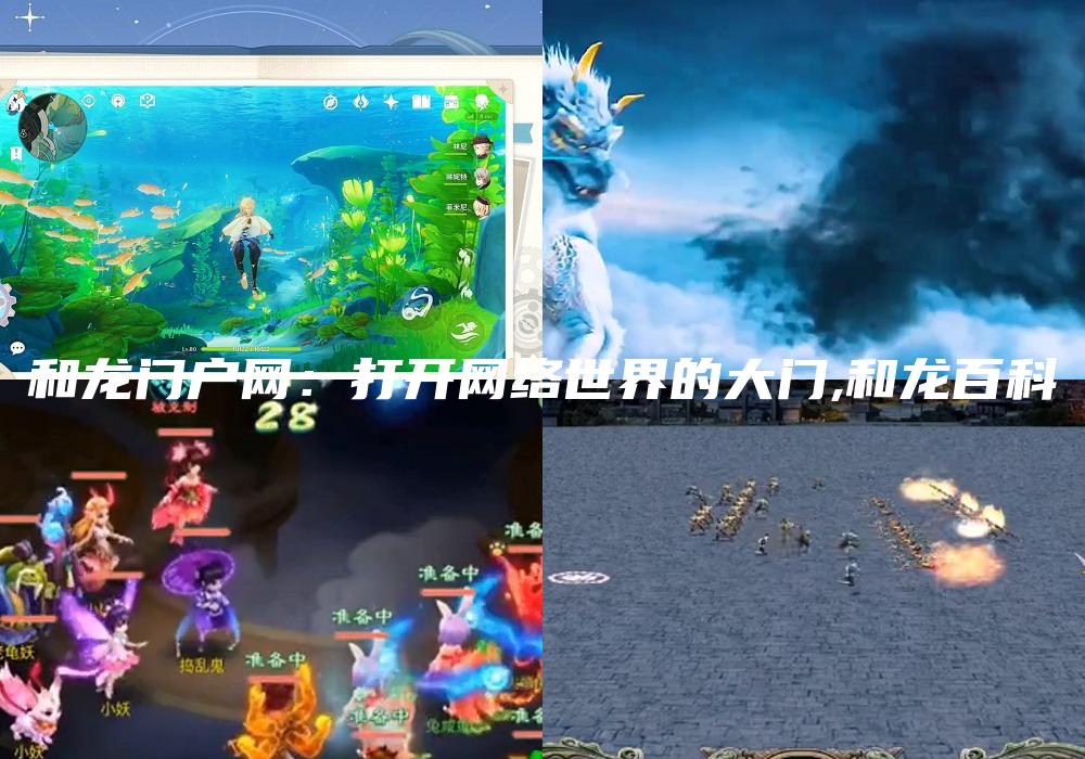 和龙门户网：打开网络世界的大门,和龙百科