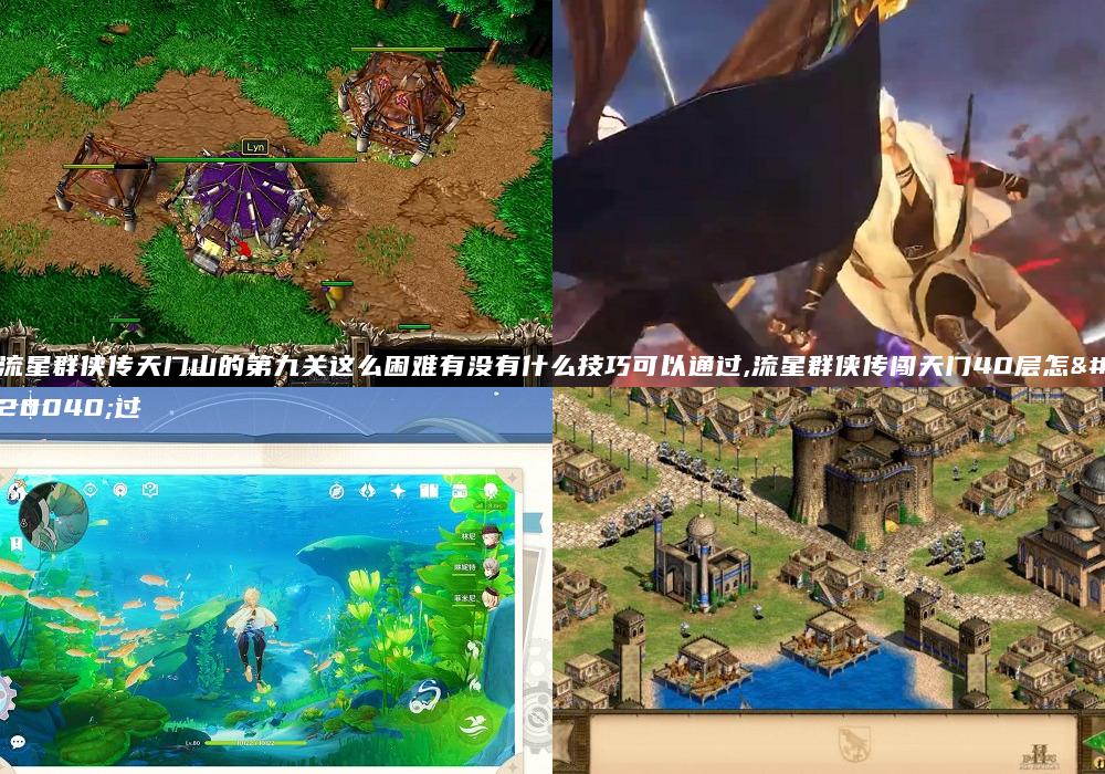 流星群侠传天门山的第九关这么困难有没有什么技巧可以通过,流星群侠传闯天门40层怎么过