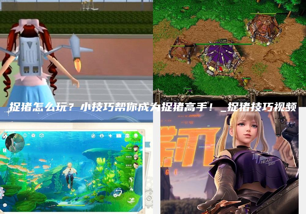 捉猪怎么玩？小技巧帮你成为捉猪高手！_捉猪技巧视频