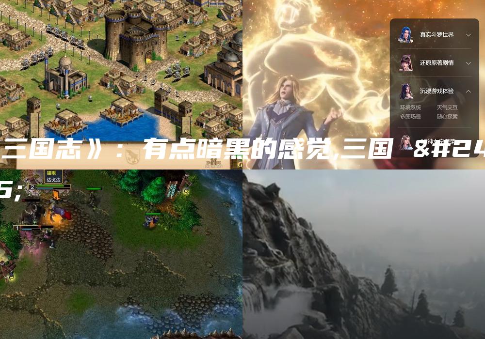 《三国志》：有点暗黑的感觉,三国 志
