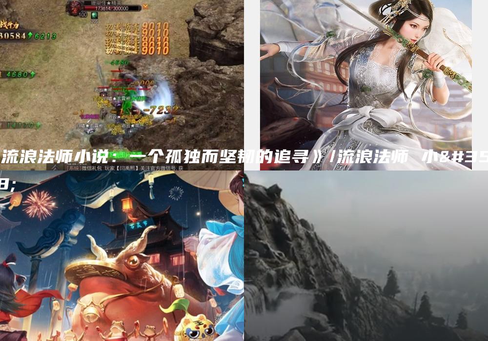 《流浪法师小说：一个孤独而坚韧的追寻》/流浪法师 小说