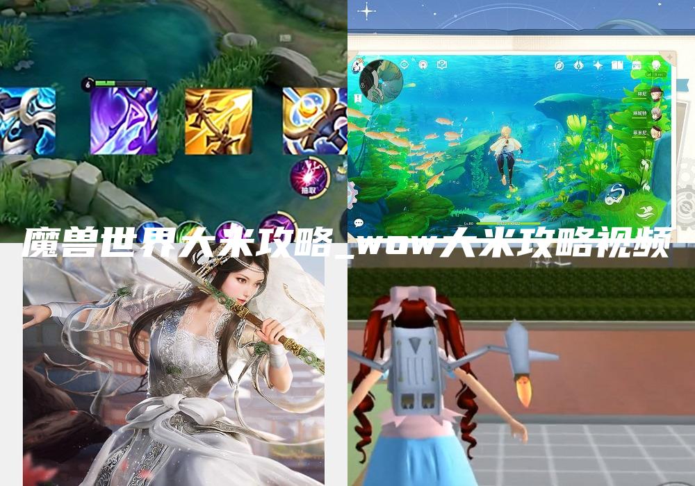 魔兽世界大米攻略_wow大米攻略视频