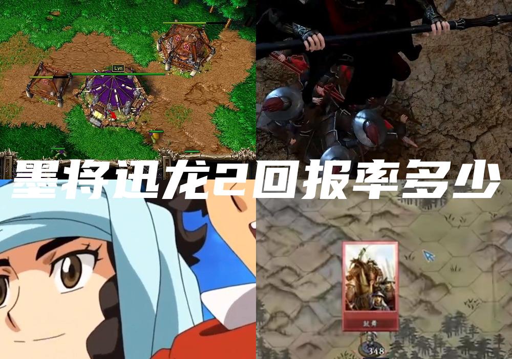 墨将迅龙2回报率多少
