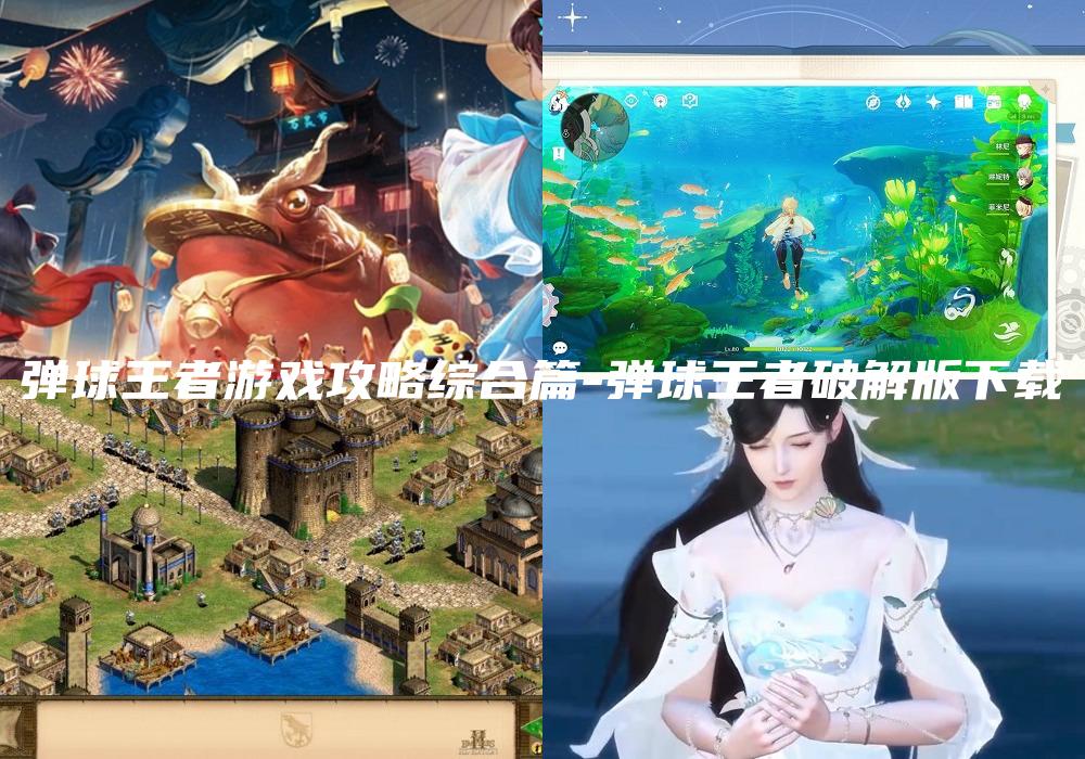 弹球王者游戏攻略综合篇-弹球王者破解版下载