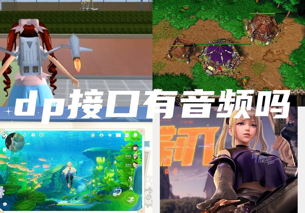 dp接口有音频吗