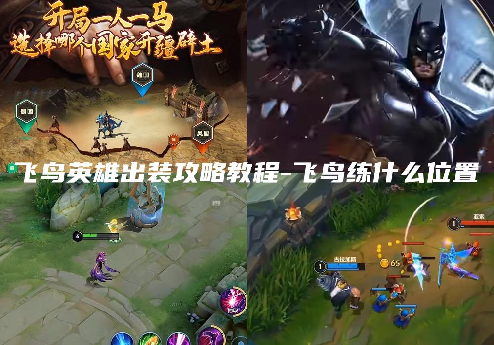 飞鸟英雄出装攻略教程-飞鸟练什么位置