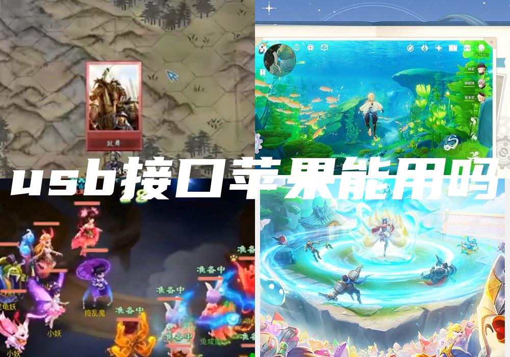 usb接口苹果能用吗