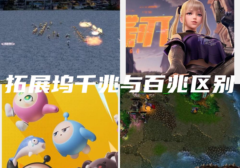拓展坞千兆与百兆区别