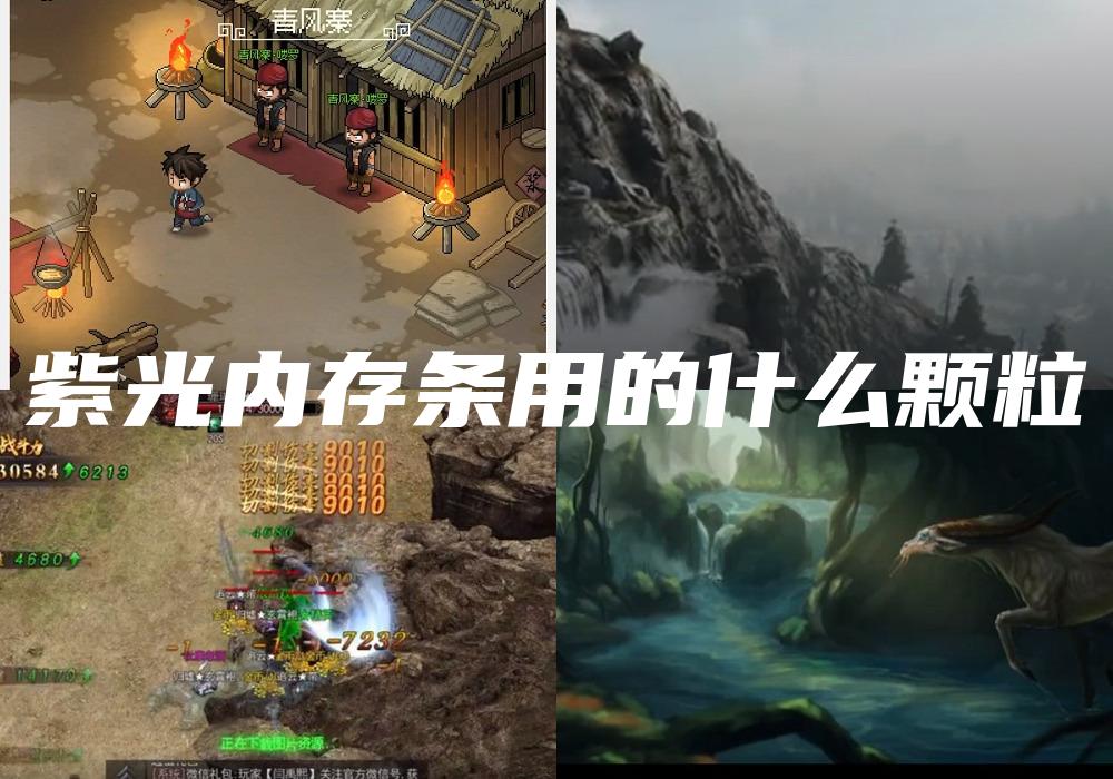 紫光内存条用的什么颗粒