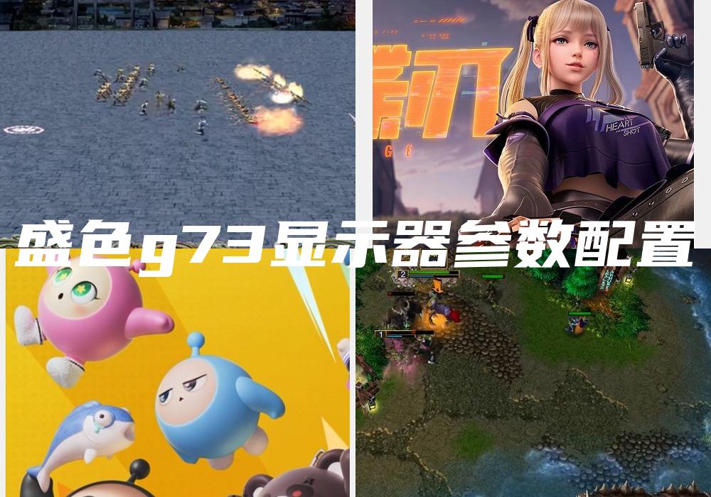 盛色g73显示器参数配置