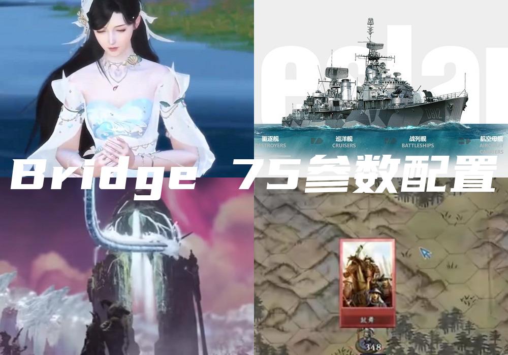Bridge 75参数配置